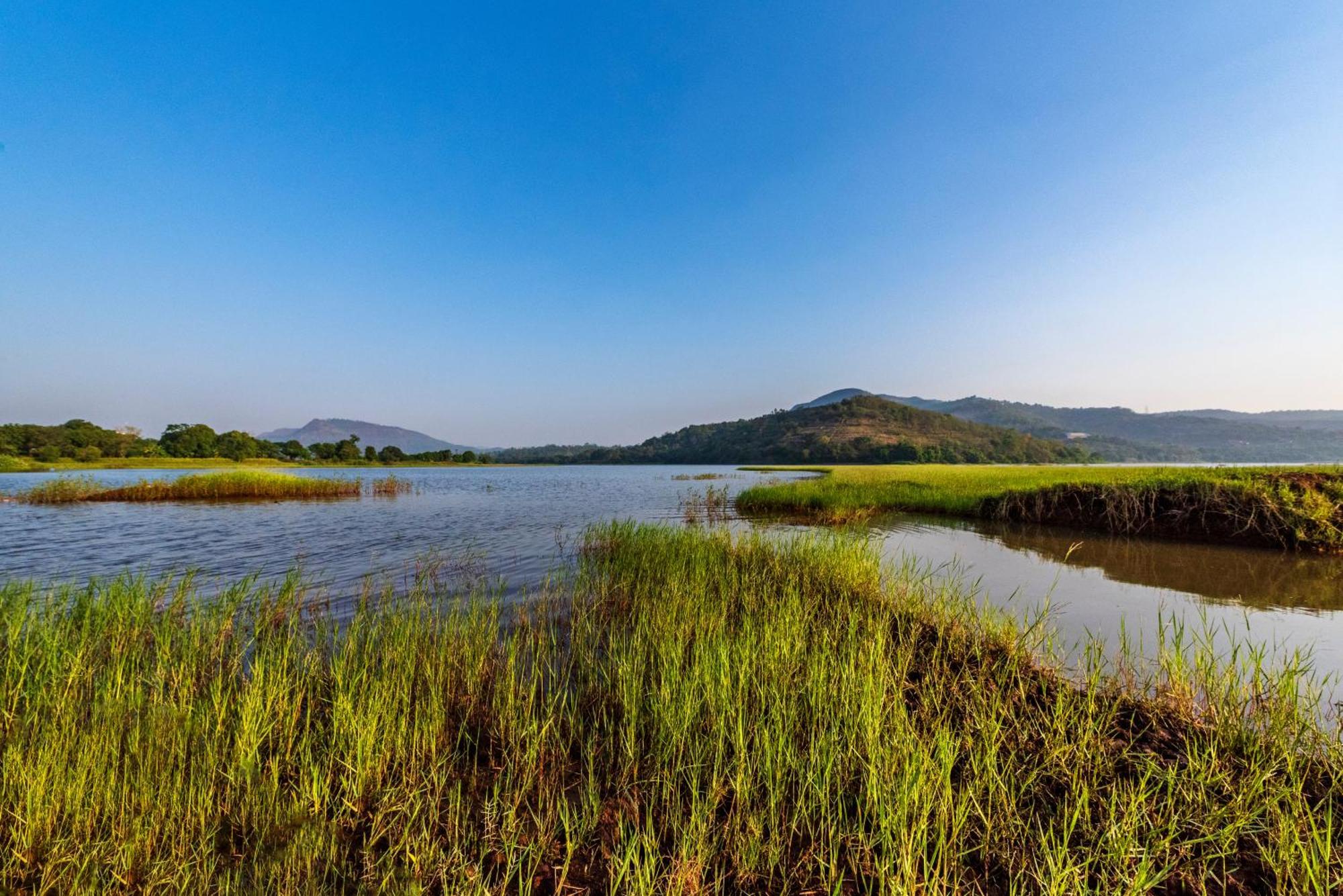 Saffronstays Lakeview Nivara - Farm Stay Villa With Private Pool Near Pune Luaran gambar